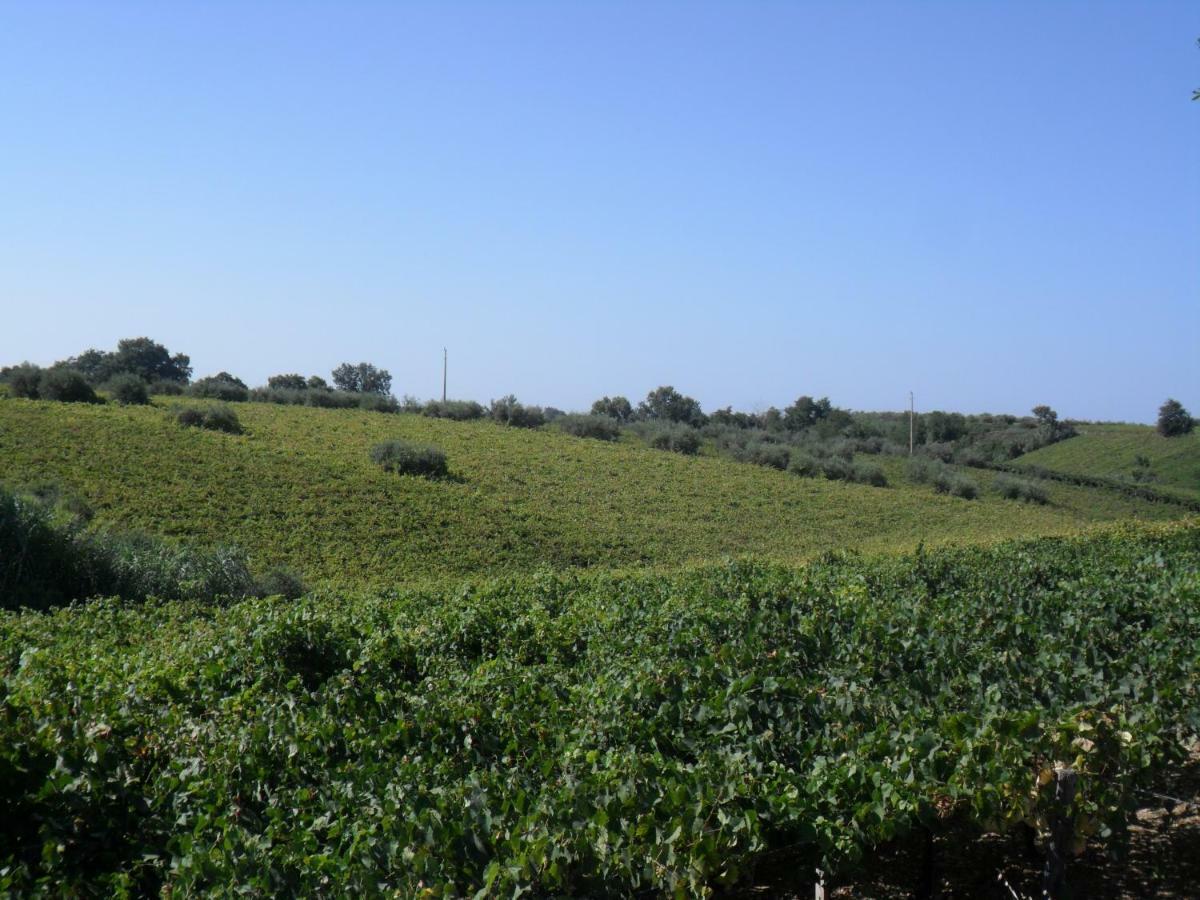 Villa Muchiarelli Crecchio المظهر الخارجي الصورة